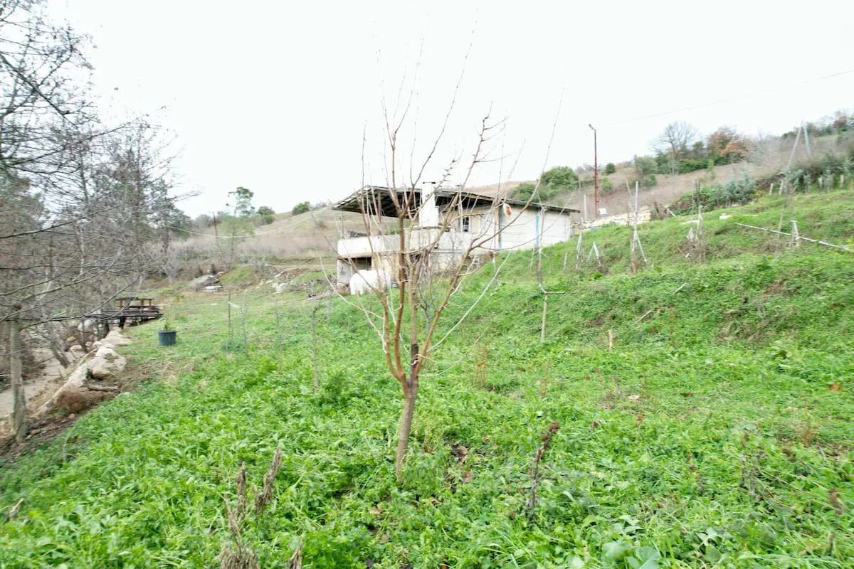 Çiftlikköy Dereköy Köyü Satılık Bağ & Bahçe Arsa, 1.511 m² - küçük fotoğraf 17